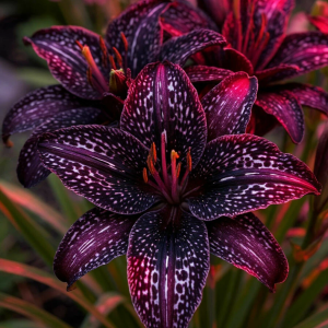 Лилейник Вояж купить по цене от 699р. в интернет-магазине «Посадика» с доставкой почтой в в Нелидовое и по всей России – [изображение №1].